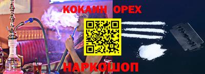 шишки Дубна