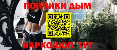 шишки Дубна