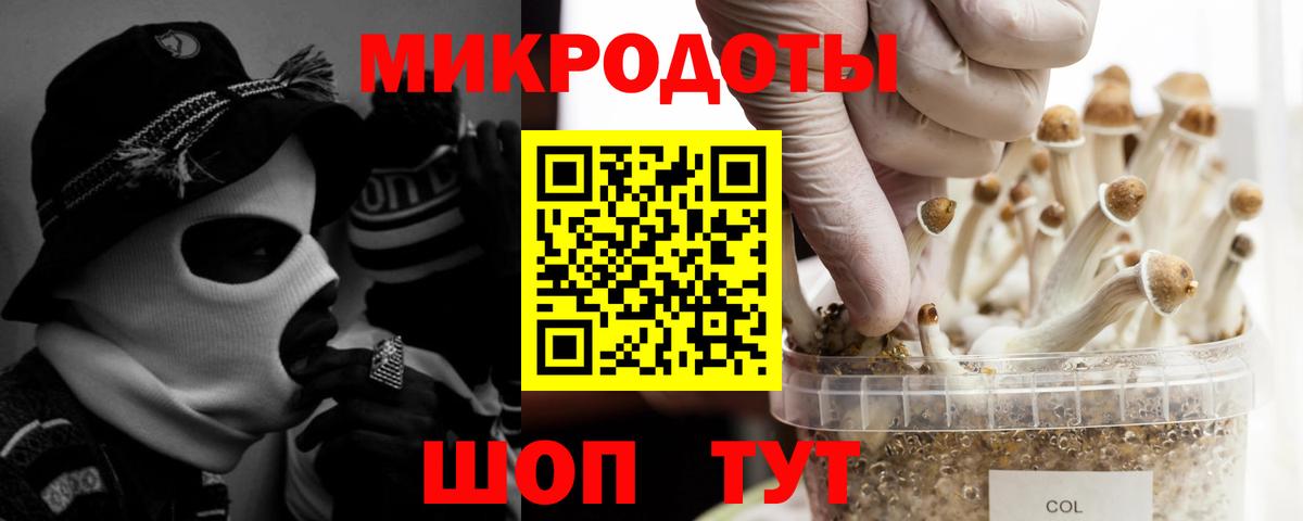 Псилоцибиновые грибы мицелий  Галлюциногенные грибы GOLDEN TEACHER  Нефтекумск  Вход с VPN 